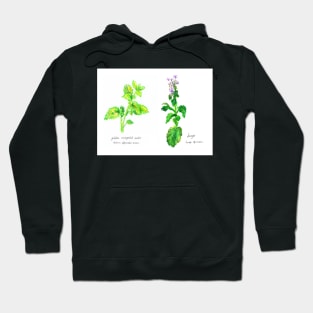 Old Garden Herbs Hoodie